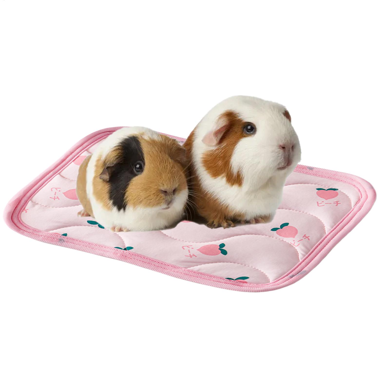 Tapete Refrescante para Animai - Outdoor Camping Dog Bed avaliação e preço